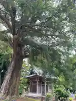 東源寺(千葉県)