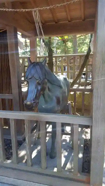 出雲大社(島根県)