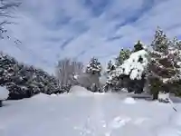 美瑛神社の自然