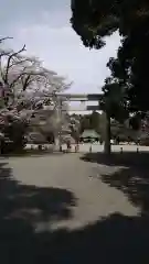 栃木縣護國神社の鳥居