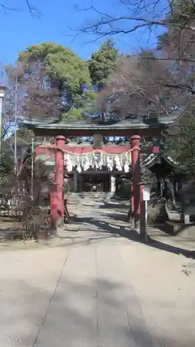 本太氷川神社(埼玉県)