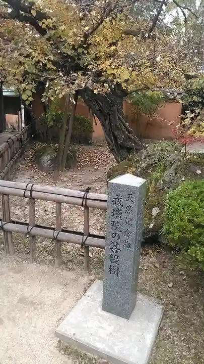 戒壇院のその他建物