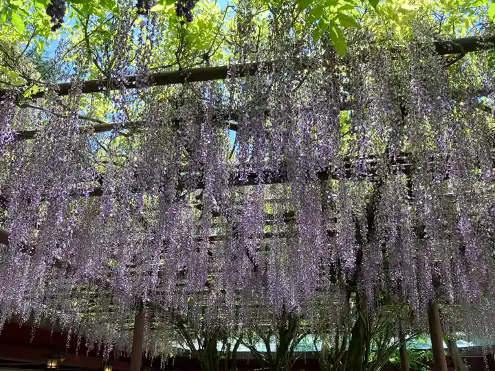 笠間稲荷神社(茨城県)