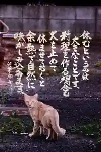 専念寺(大阪府)(2023年05月19日(金) 20時42分46秒投稿)