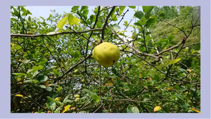 冠稲荷神社(群馬県)