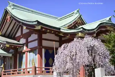 千住神社の本殿・本堂