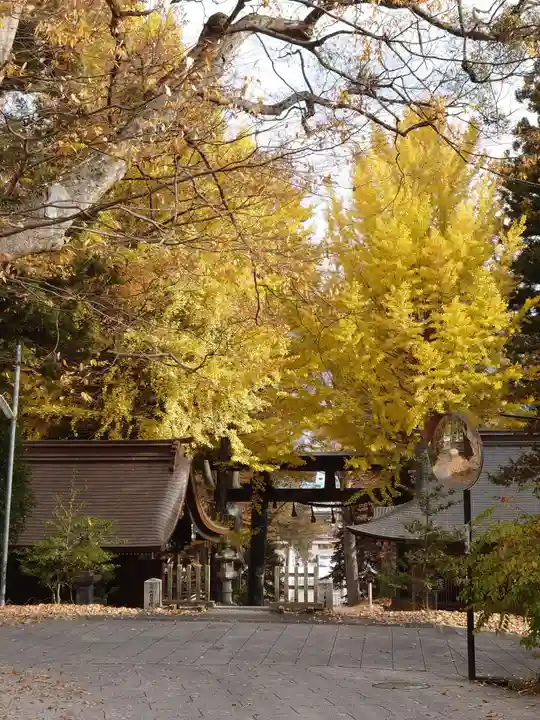 諏訪大社上社前宮(長野県)