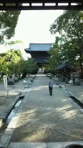 大樹寺（松安院大樹寺）の山門