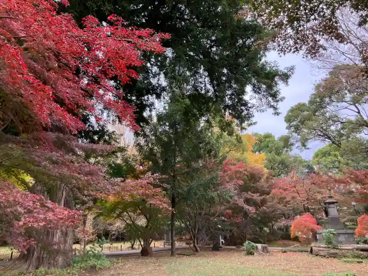 淨眞寺(東京都)