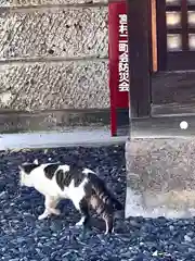 冨士浅間神社の動物