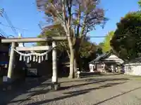 浅間神社の鳥居
