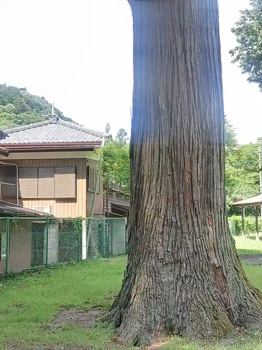 古鷹神社(埼玉県)