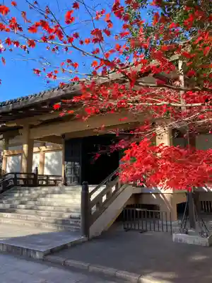 廣隆寺(京都府)