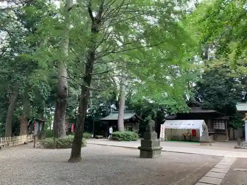世田谷八幡宮(東京都)