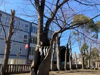 戸部杉山神社(神奈川県)