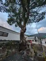 浜殿神社(長崎県)