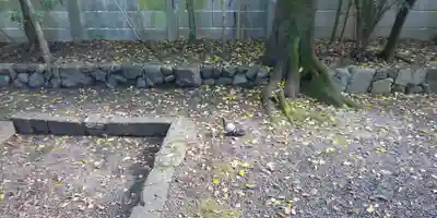 賀茂波爾神社（賀茂御祖神社境外摂社）のその他建物