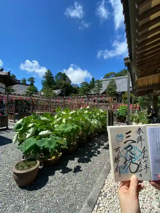 秋葉總本殿可睡斎(静岡県)