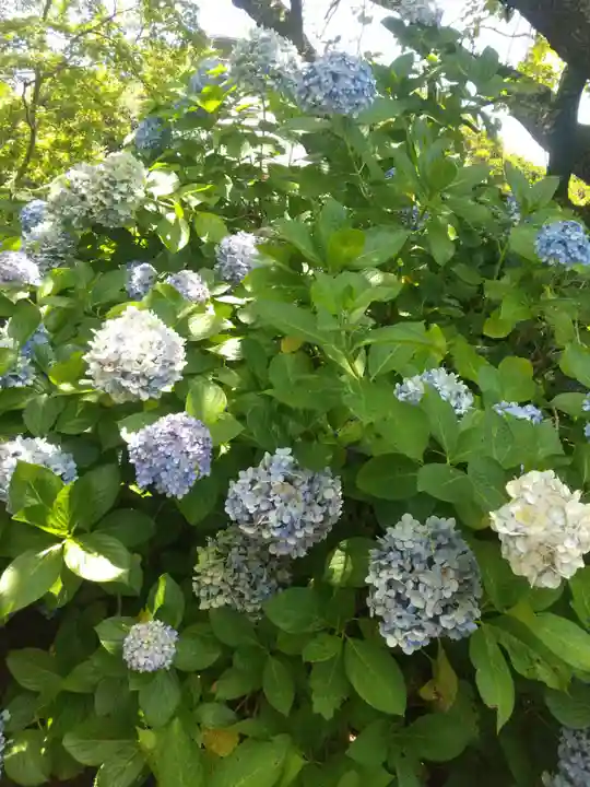 佛母寺(千葉県)