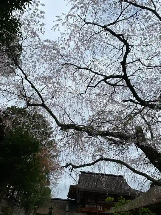 金峯山寺の自然