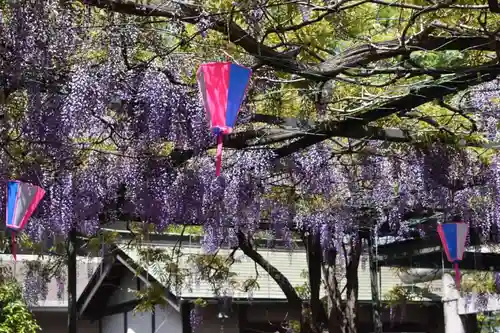 國領神社の自然