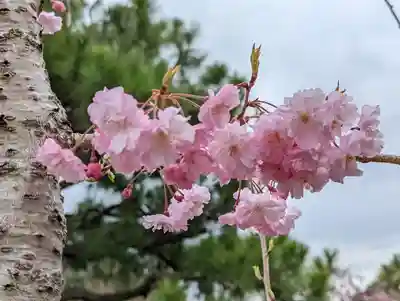正法寺(京都府)