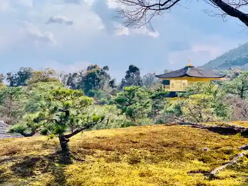 鹿苑寺（金閣寺）の庭園