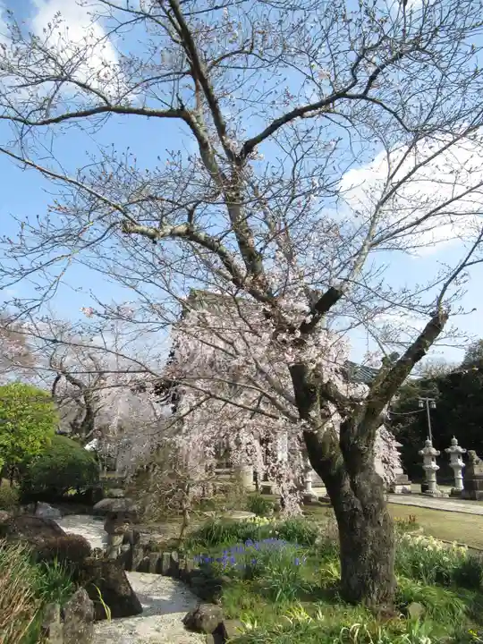 慶龍寺(茨城県)