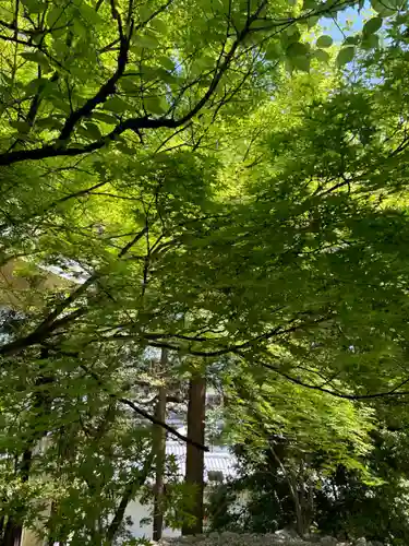 法輪寺(京都府)