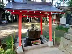 開運招福 飯玉神社(群馬県)