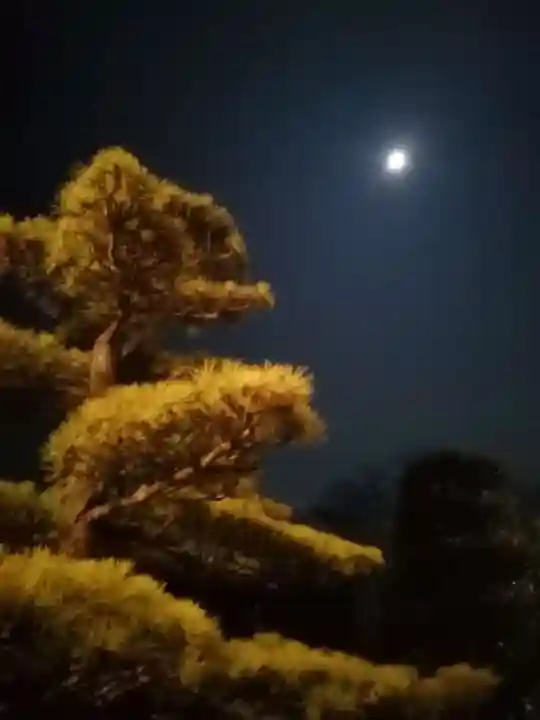 伏木香取神社の自然