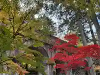 高徳庵 (最勝院)(京都府)