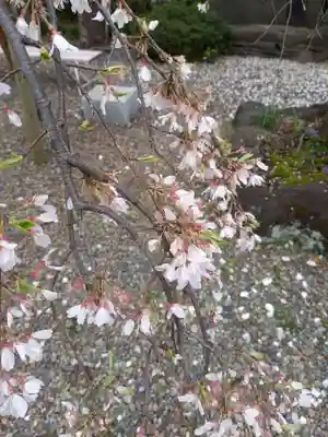 尾久八幡神社(東京都)