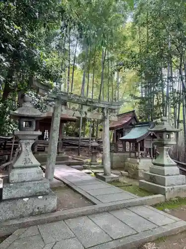 青蓮院門跡の{uncategorized: "未分類", other: "その他", undefined: "問題あり", building: "その他建物", grave: "お墓", sacred_gate: "鳥居", guardian: "狛犬", statue: "像", buddha: "仏像", history: "歴史", nature: "自然", garden: "庭園", animal: "動物", pagoda: "塔", temizu: "手水舎", mountain_gate: "山門・神門", sanctuary: "本殿・本堂", subordinate: "末社・摂社", art: "芸術", scenery: "景色", jizo: "地蔵", ema: "絵馬", goshuin: "御朱印", omikuji: "おみくじ", items: "授与品その他", amulet: "お守り", goshuincho: "御朱印帳", eats: "食事", festival: "お祭り", votive_dance: "神楽", shichigosan: "七五三参", wedding: "結婚式", experience: "体験その他", initially: "初詣", around: "周辺", anti_infection: "感染症対策"}