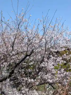 和田山琴平神社(神奈川県)