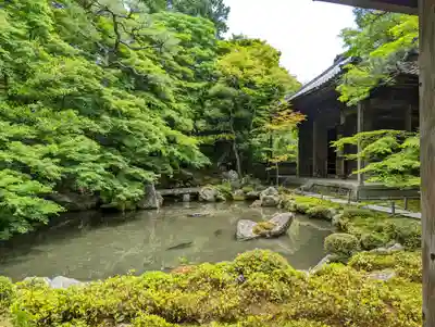 蓮華寺（洛北蓮華寺）(京都府)