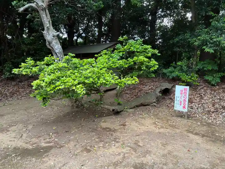 宗像神社(千葉県)