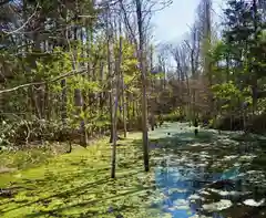 岩内神社(北海道)