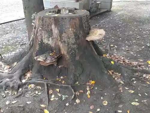 森野住吉神社(東京都)