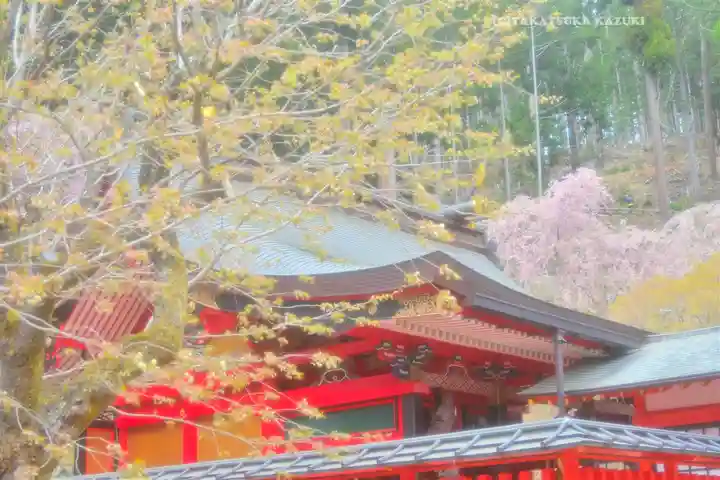金櫻神社(山梨県)