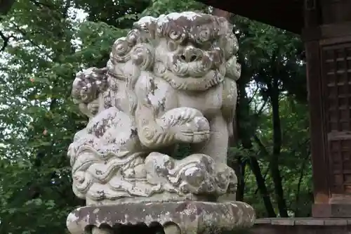 隠津島神社の狛犬