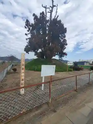 八社神社(栃木県)