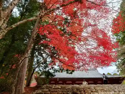 神護寺(京都府)