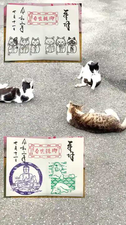御誕生寺(猫寺)の御朱印
