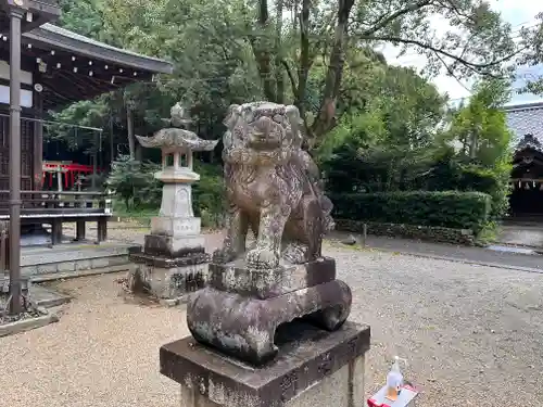 伊射奈岐神社の狛犬