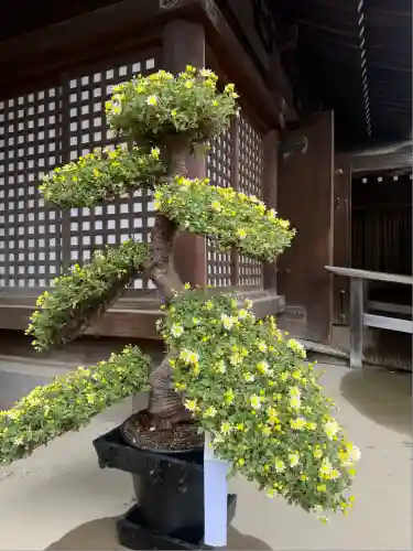 武蔵一宮氷川神社(埼玉県)