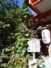 蒔田杉山神社(神奈川県)