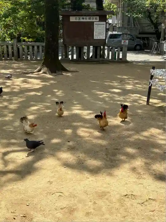 忌宮神社(山口県)