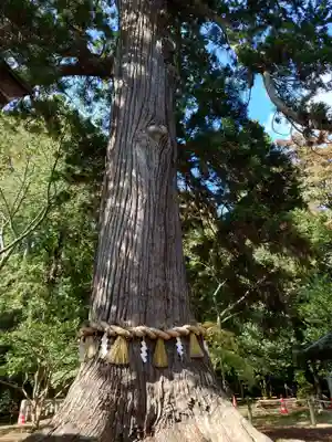 志波彦神社・鹽竈神社(宮城県)