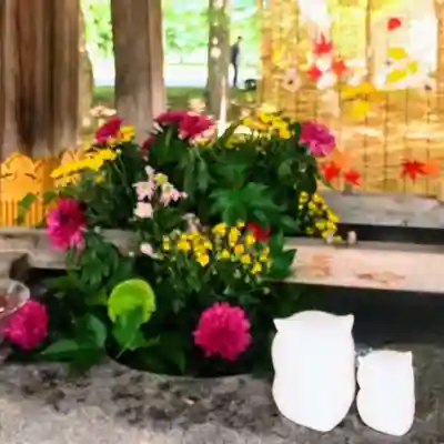 彌彦神社　(伊夜日子神社)の手水舎